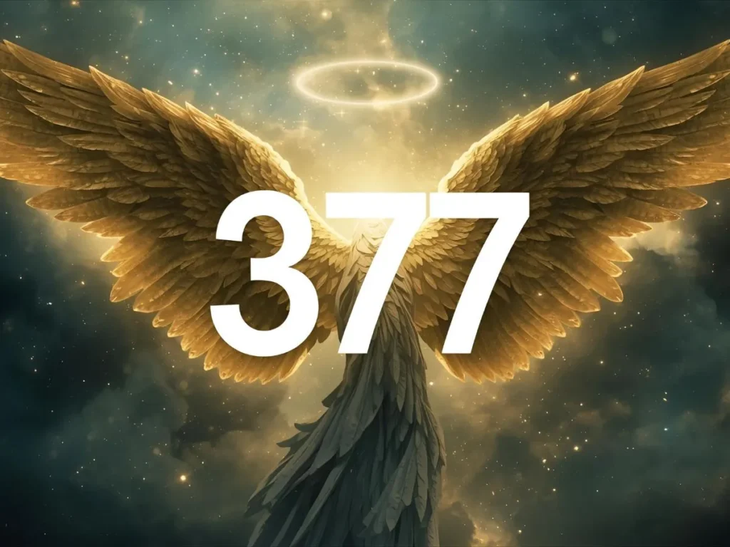 377 Angel Number Meaning Love