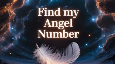 Find My Angel Number