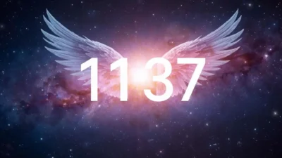 1137 angel number