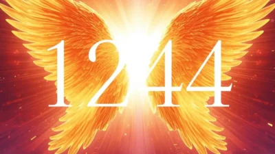 1244 angel number twin flame